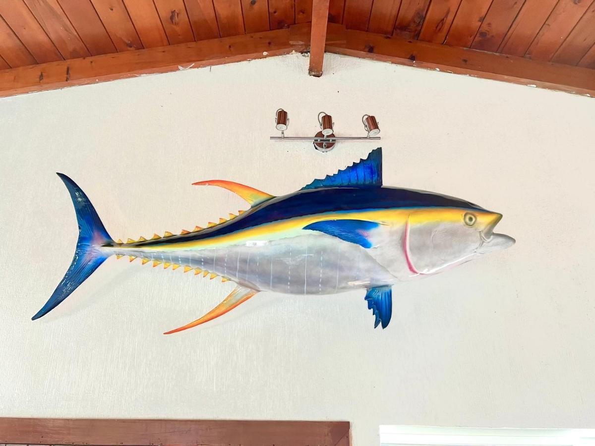 Casa Mahi Ξενοδοχείο El Progreso Εξωτερικό φωτογραφία